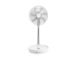 Folding Fan H16