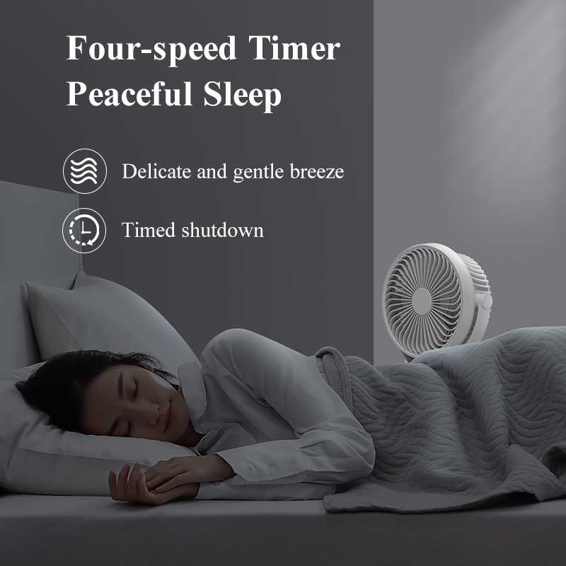 Clip Fan with Light H9